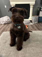 Milo