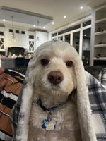 Milo