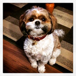 Opie 