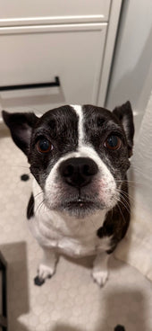 Kaia
