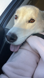 Rosco