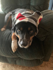 Snickers