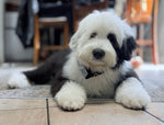 Maxi