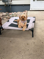 Lucy 