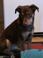 Abby
