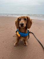 Milo
