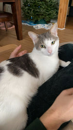 Henri