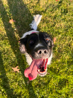 Lulu