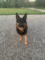 Axel