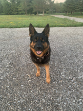Axel