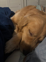 Ollie