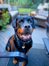 Jordie