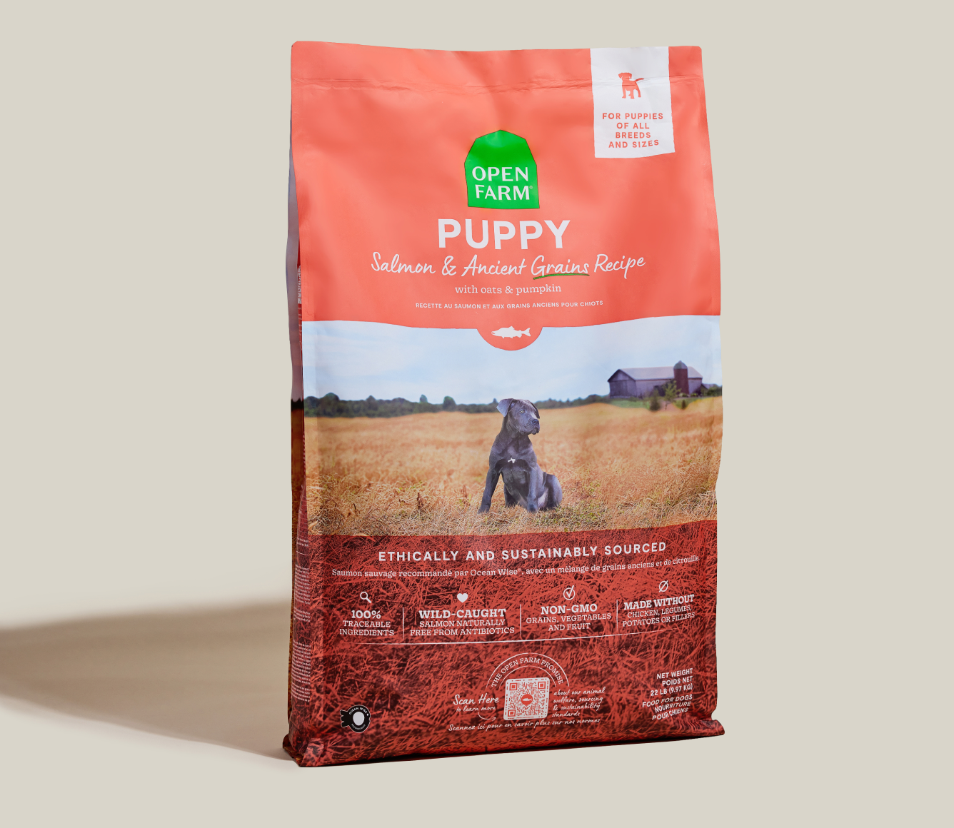 Salmon Puppy Kibble With Ancient Grains Proudly Canadian Dog Food Salmon Puppy Kibble With Ancient Grains Proudly Canadian Dog Food