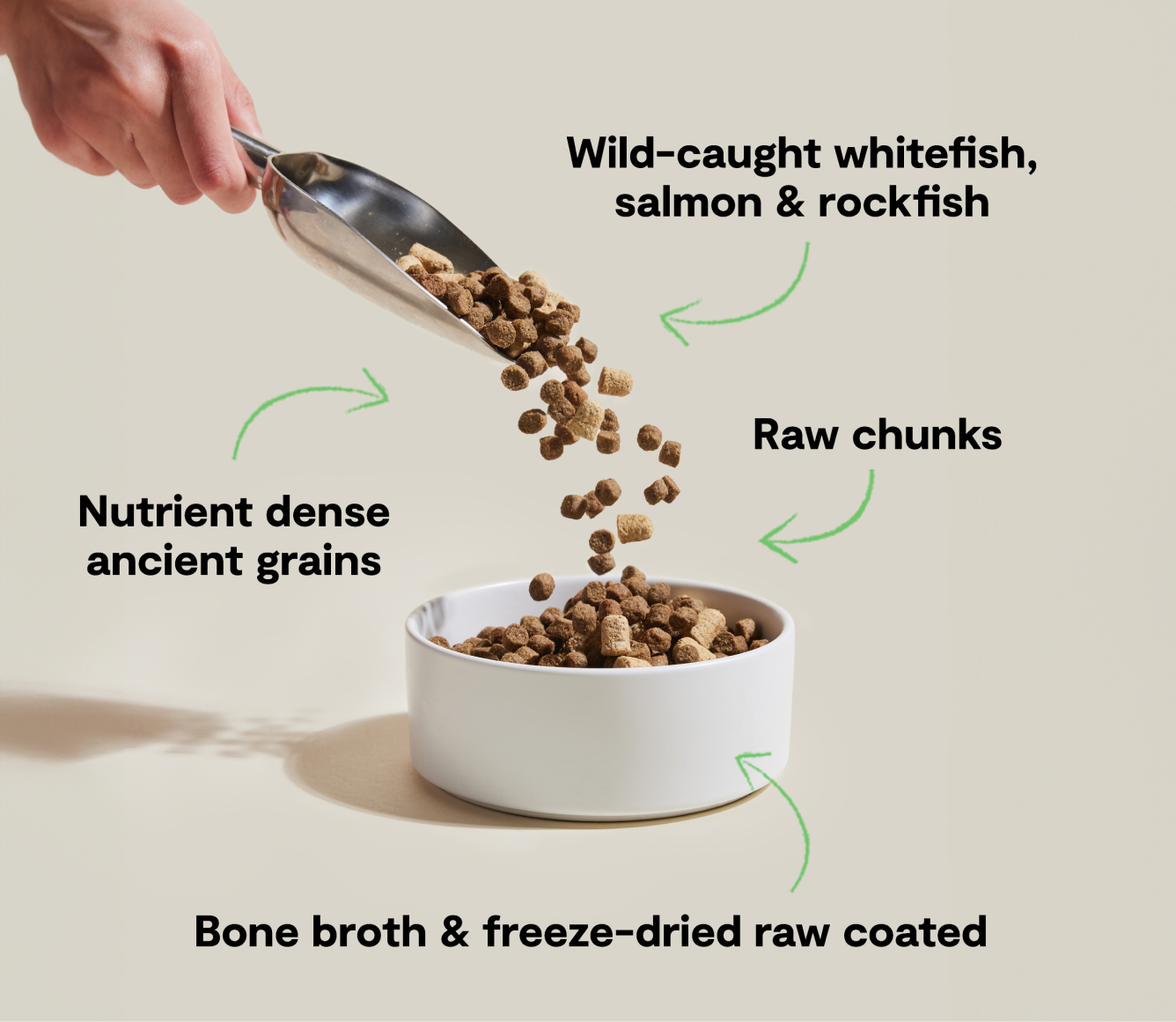 Peter Kibble Wild Ocean RawMix Dog Kibble with Ancient Grains | Proudly Canadian Dog ...