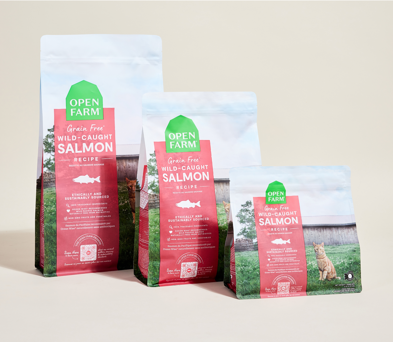 Encore Fish Selection Grain-Free Dry Cat Food
