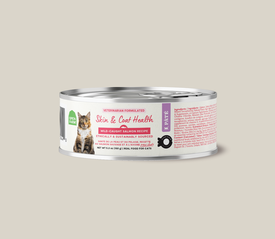 Wild-Caught Salmon Skin & Coat Health Pâté for Cats