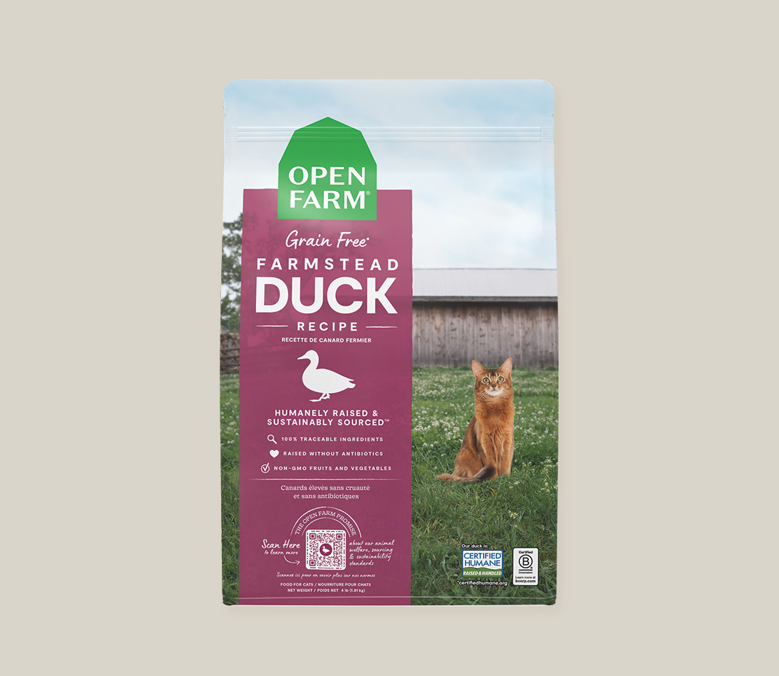 Farmstead Duck Grain-Free Cat Kibble