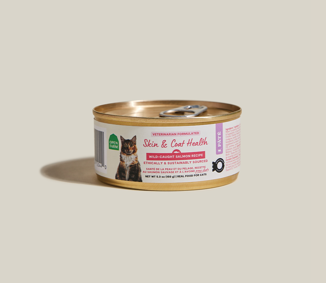 Wild-Caught Salmon Skin & Coat Health Pâté for Cats