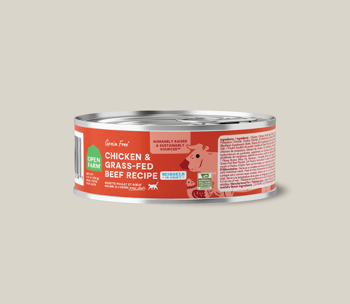 Chicken & Grass-Fed Beef Morsels in Gravy for Cats