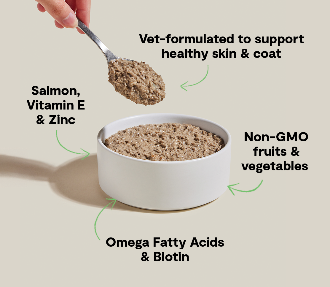 Wild-Caught Salmon Skin & Coat Health Pâté for Cats