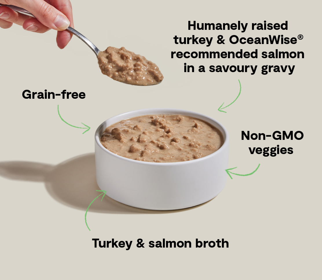 Turkey & Salmon Morsels in Gravy for Cats