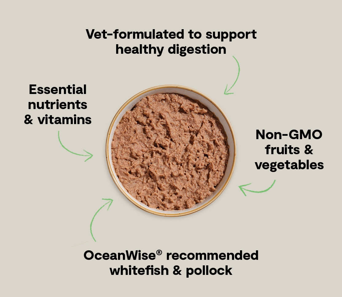 Wild-Caught Whitefish & Pollock Digestive Health Pâté for Cats