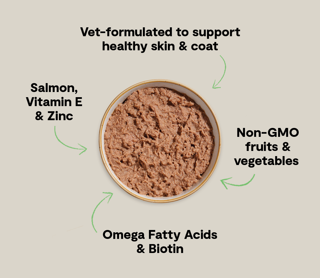 Wild-Caught Salmon Skin & Coat Health Pâté for Cats