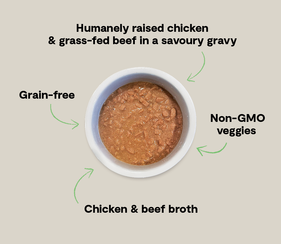 Chicken & Grass-Fed Beef Morsels in Gravy for Cats