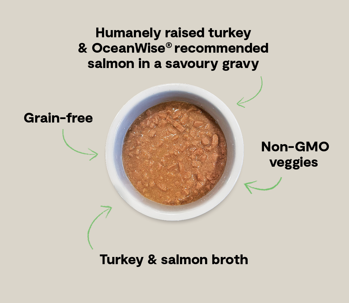 Turkey & Salmon Morsels in Gravy for Cats