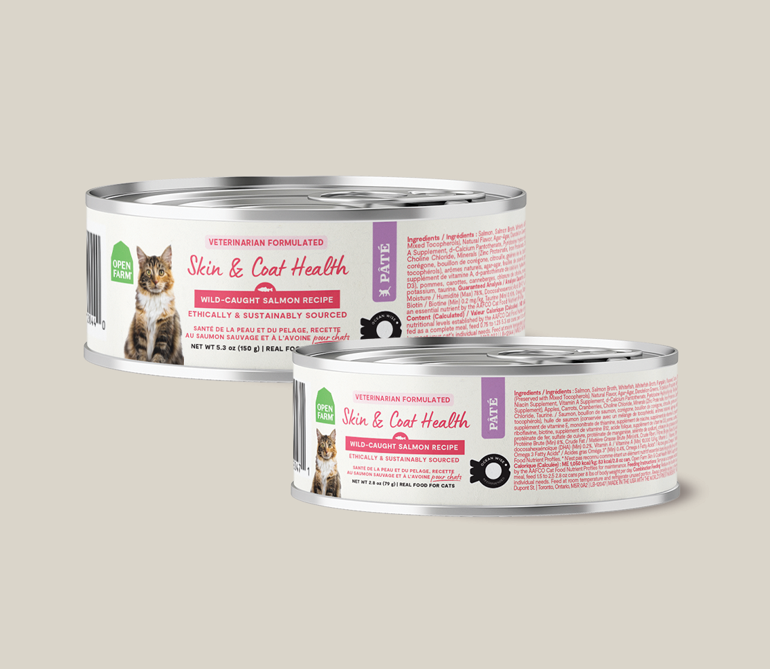 Wild-Caught Salmon Skin & Coat Health Pâté for Cats