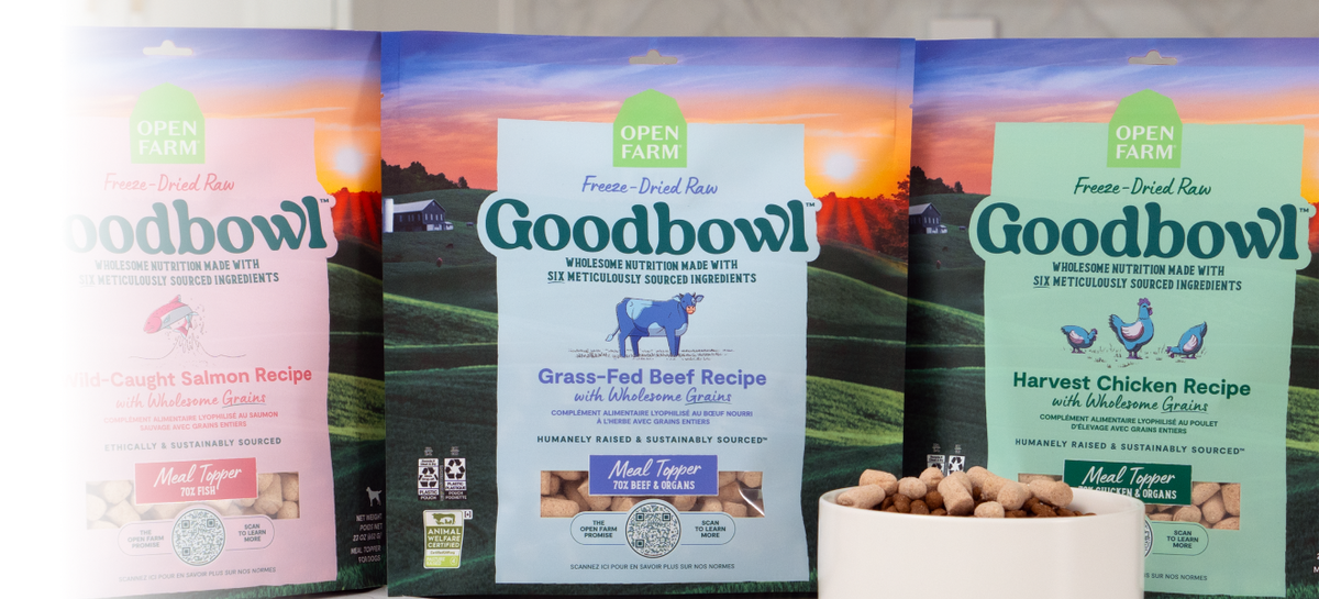 Freeze Dried Food Topper For Dogs & Cats - Protein Rich Chicken Meal Booster For Picky Eaters