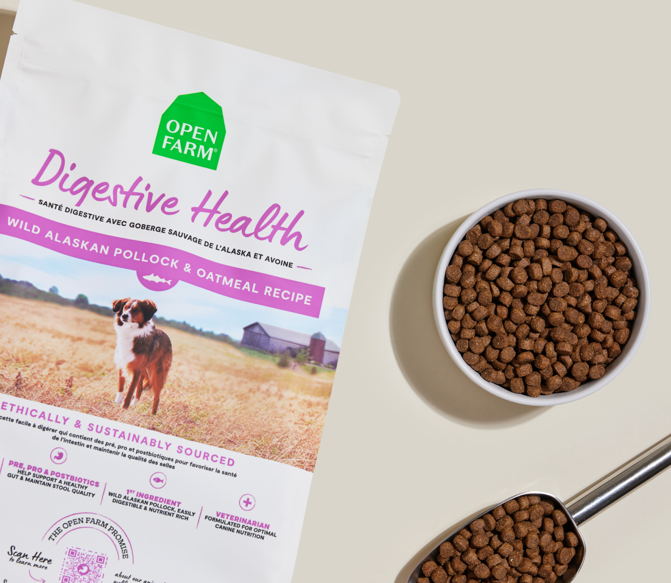 Beautiful view of Dog Kibble For Calm Temperament