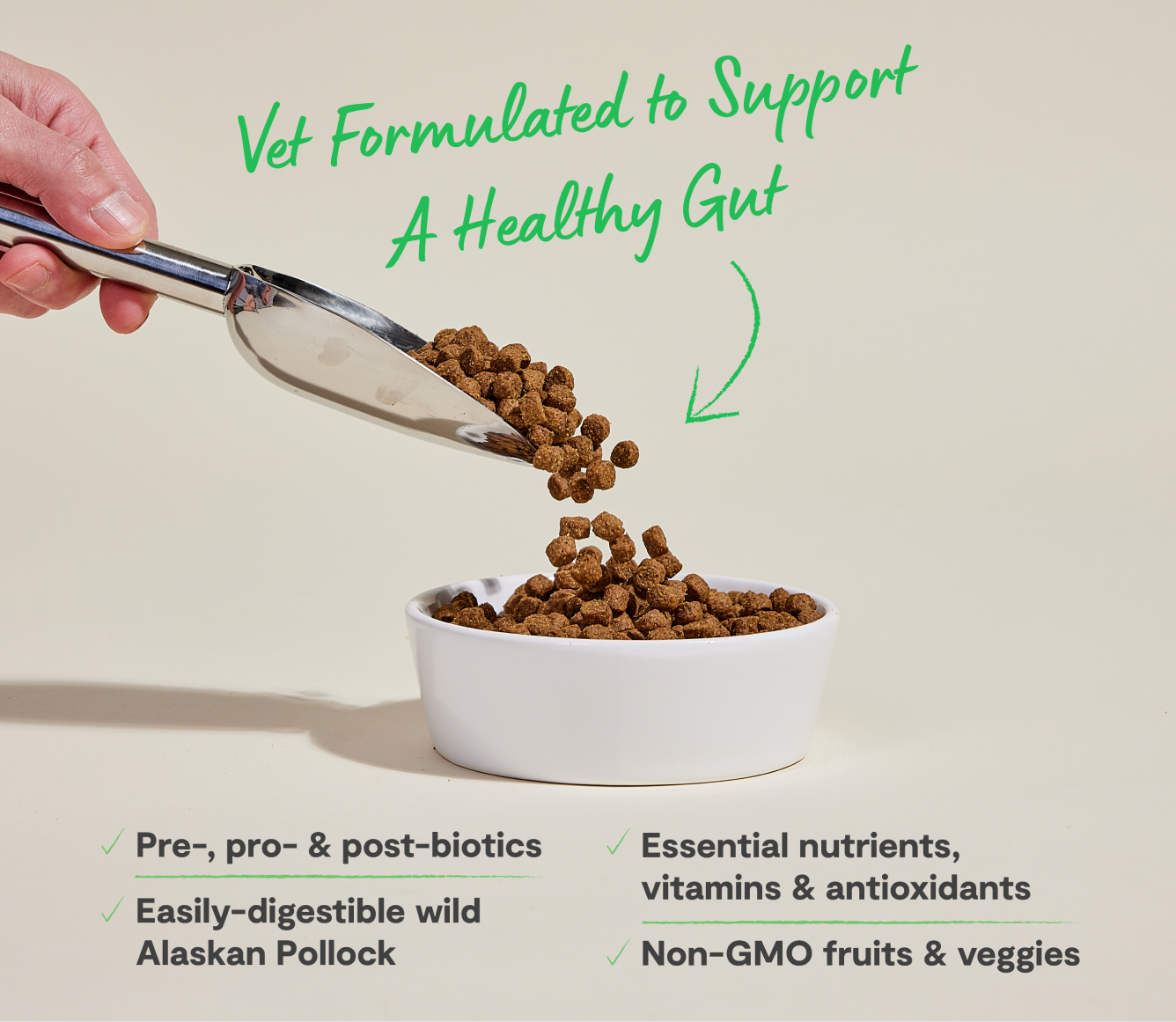 Vet Formulated Dog Kibble for Digestive Health | Proudly Canadian Dog ...