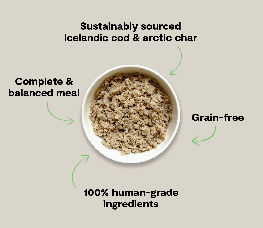 Arcitic Cod Icelandic Cod & Arctic Char Wet Food for Dogs – Open Farm - Canada