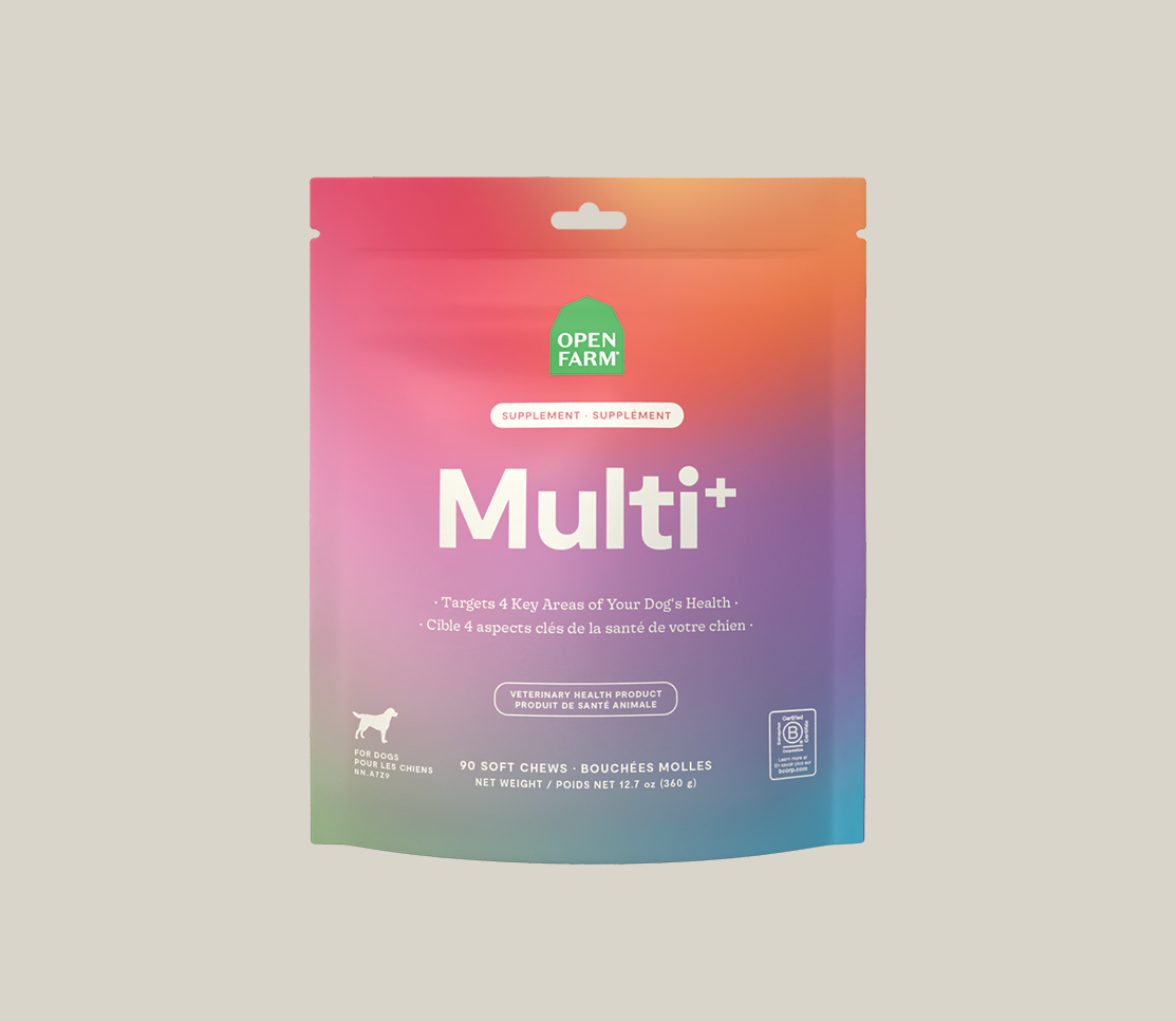 Multi+ Supplement Chews for Dogs