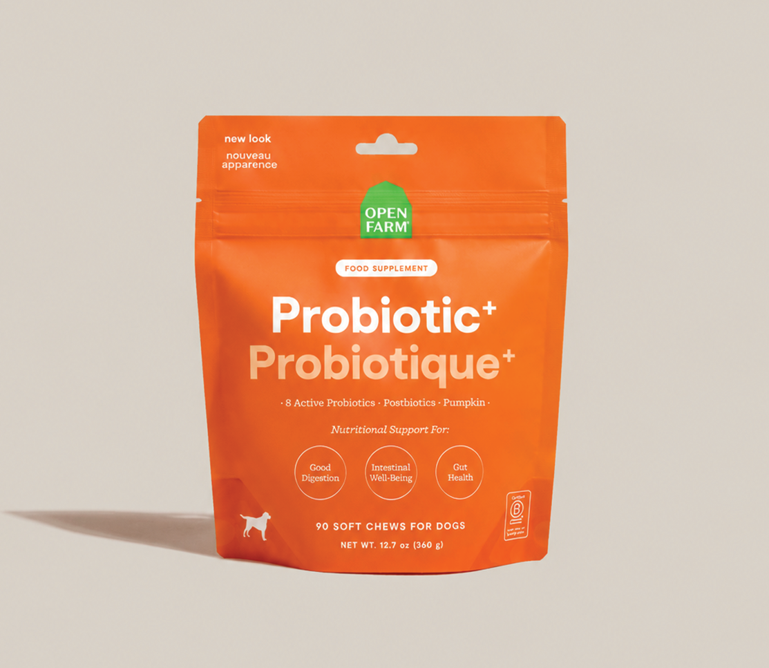 Probiotic Supplement Chews for Dogs