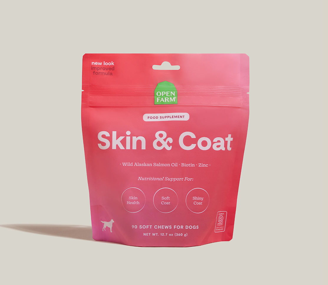 Skin & Coat Supplement Chews for Dogs