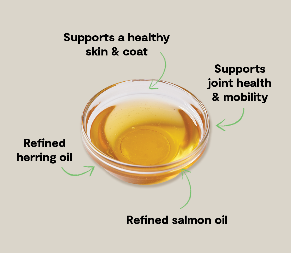 Icelandic Herring & Salmon Oil For Dogs