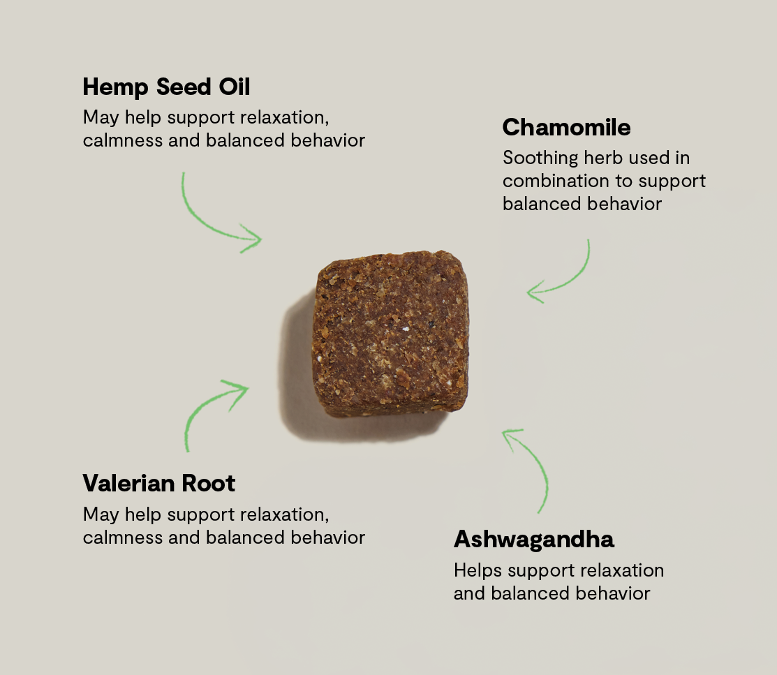 Calming Supplement Chews for Dogs