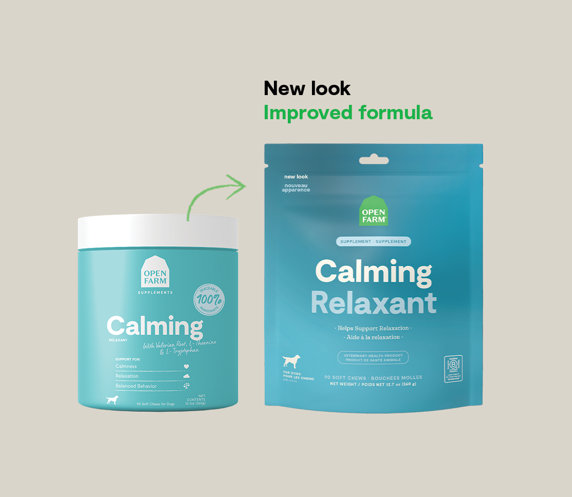 Calming Supplement Chews for Dogs