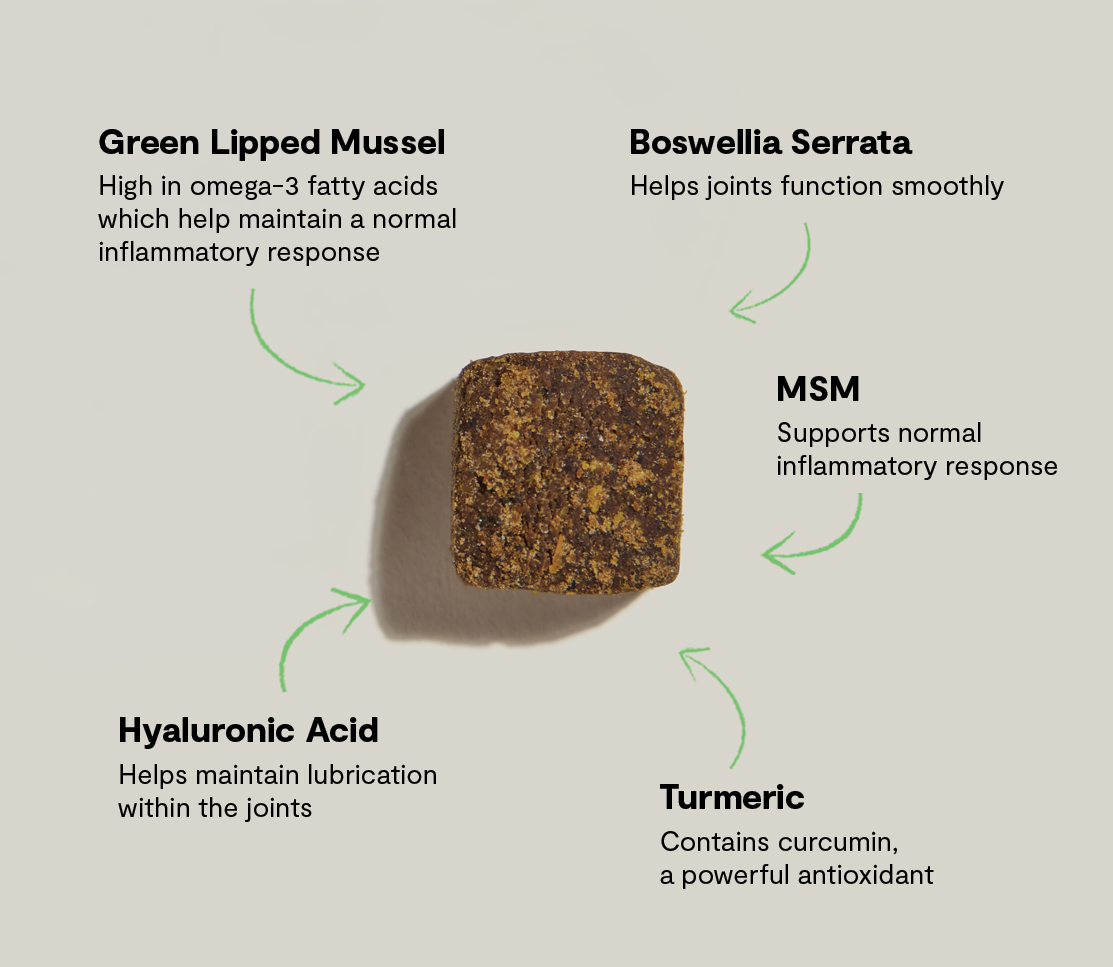 Hip & Joint Supplement Chews for Dogs