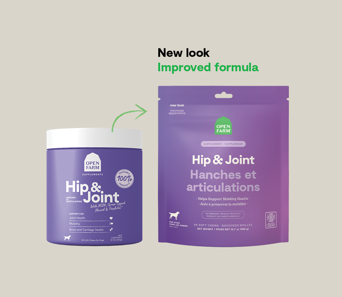 Hip & Joint Supplement Chews for Dogs