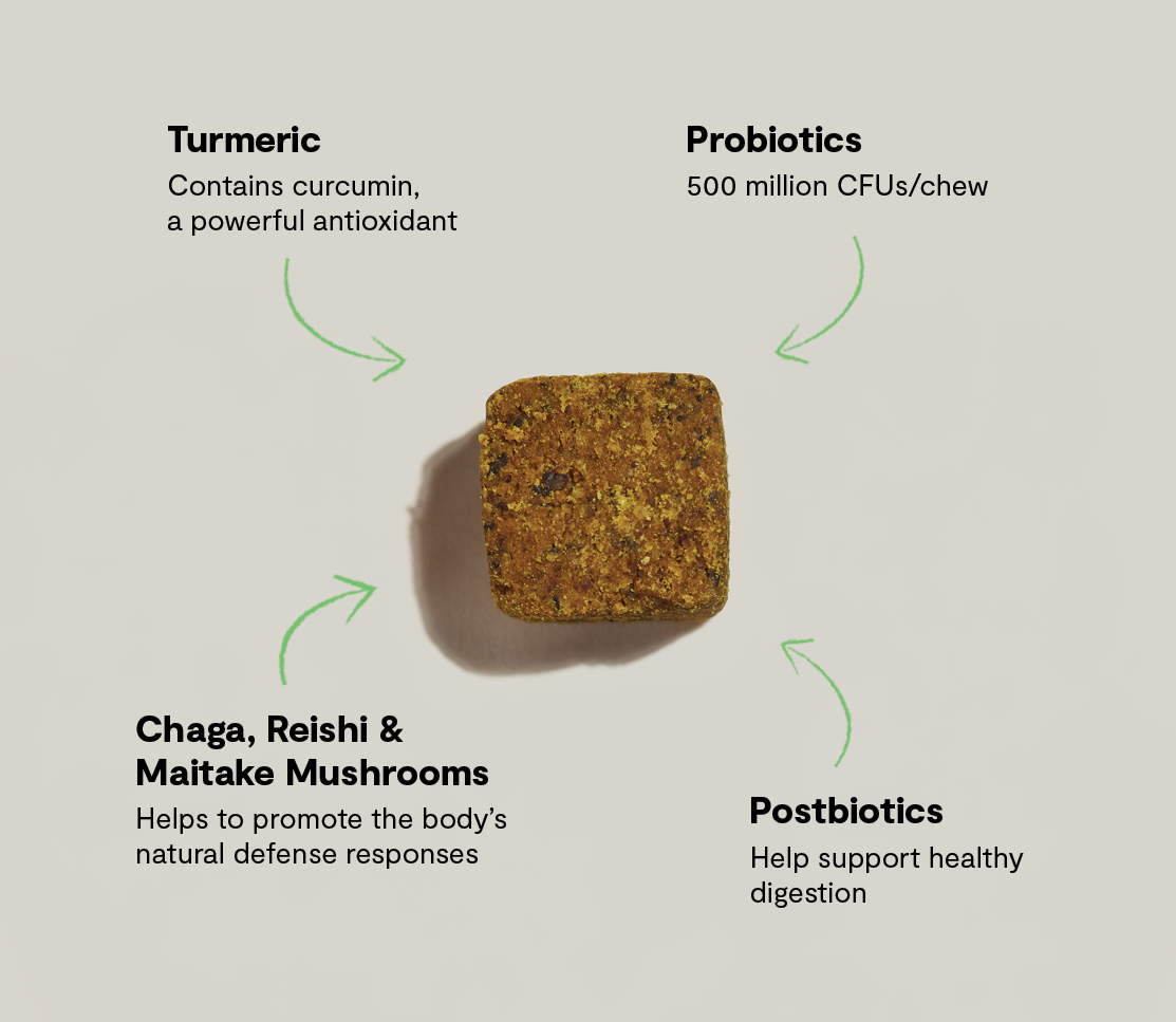 Immune Supplement Chews for Dogs