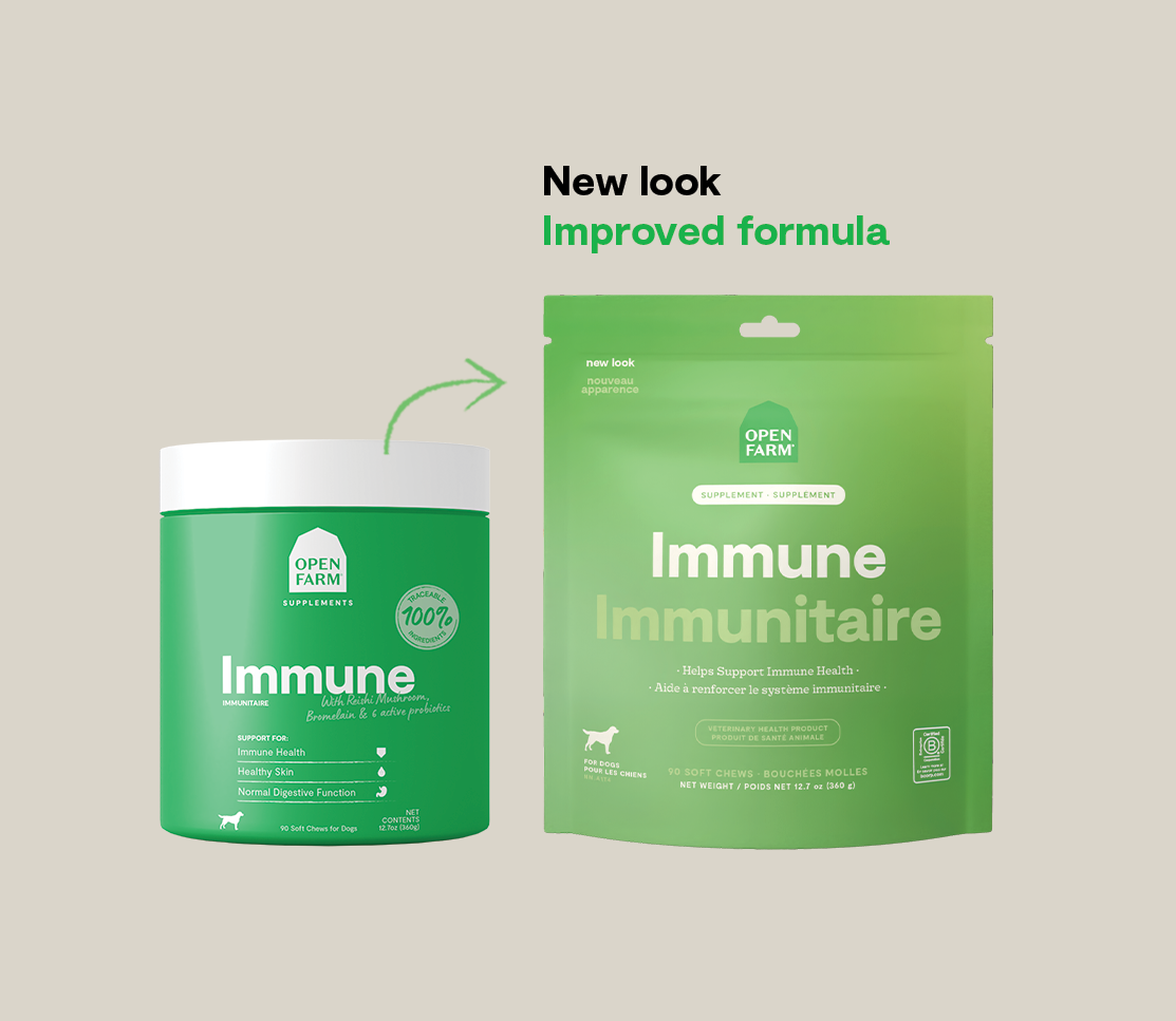 Immune Supplement Chews for Dogs