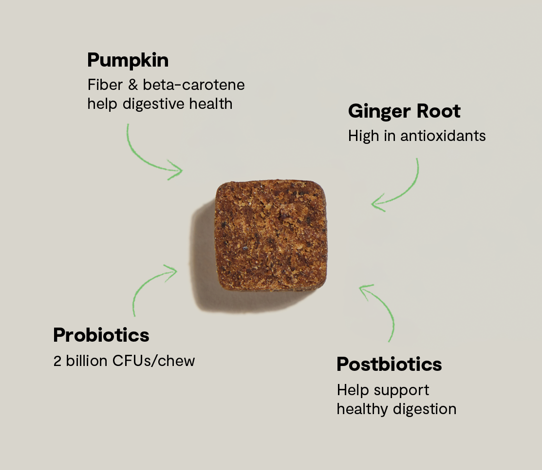 Probiotic Supplement Chews for Dogs