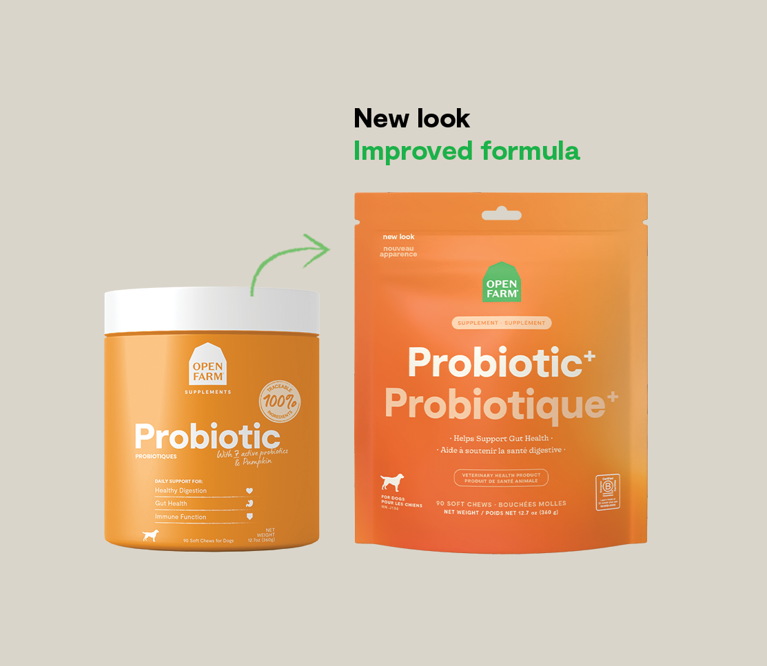 Probiotic Supplement Chews for Dogs