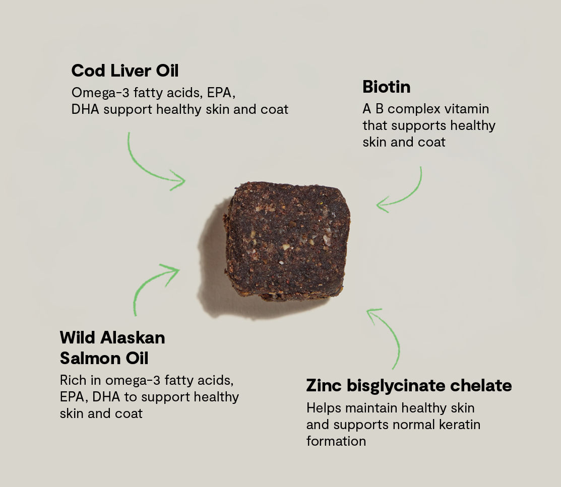 Skin & Coat Supplement Chews for Dogs