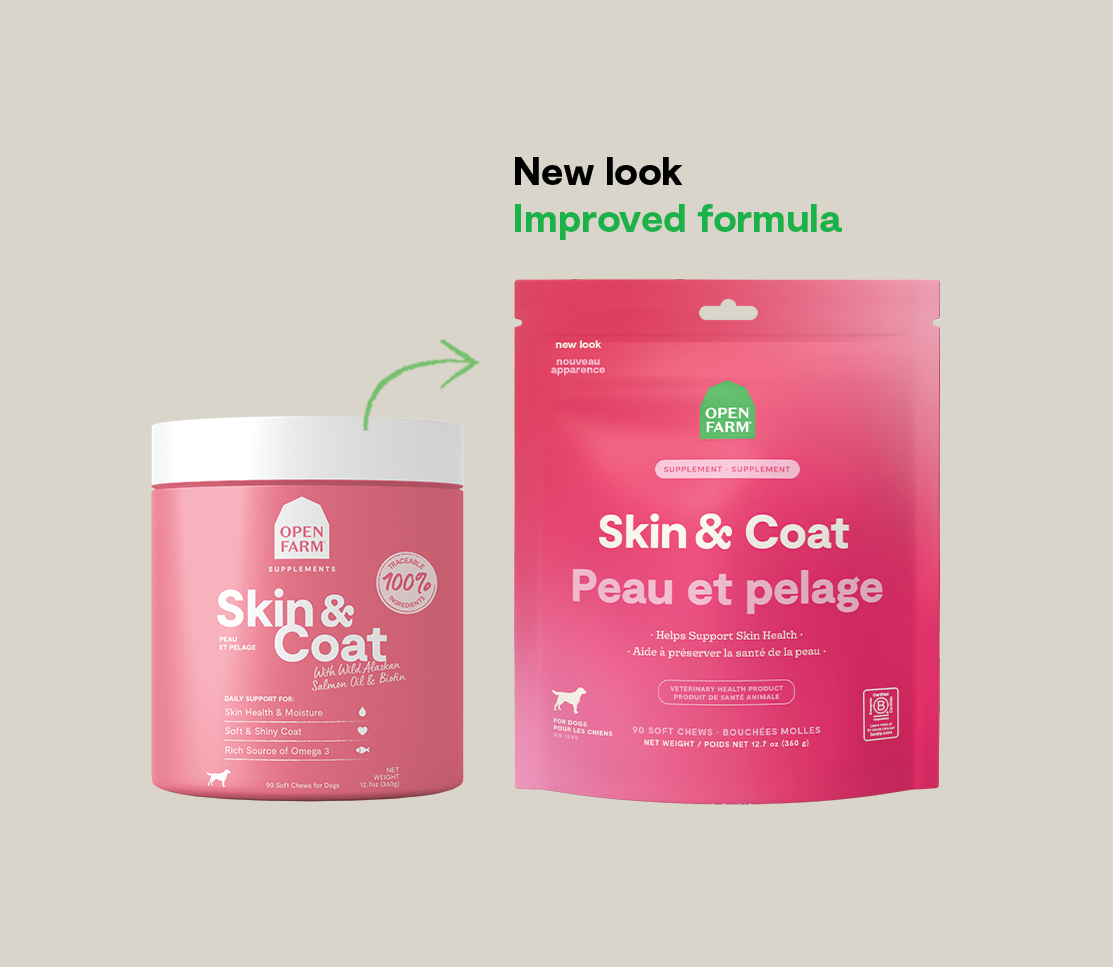 Skin & Coat Supplement Chews for Dogs