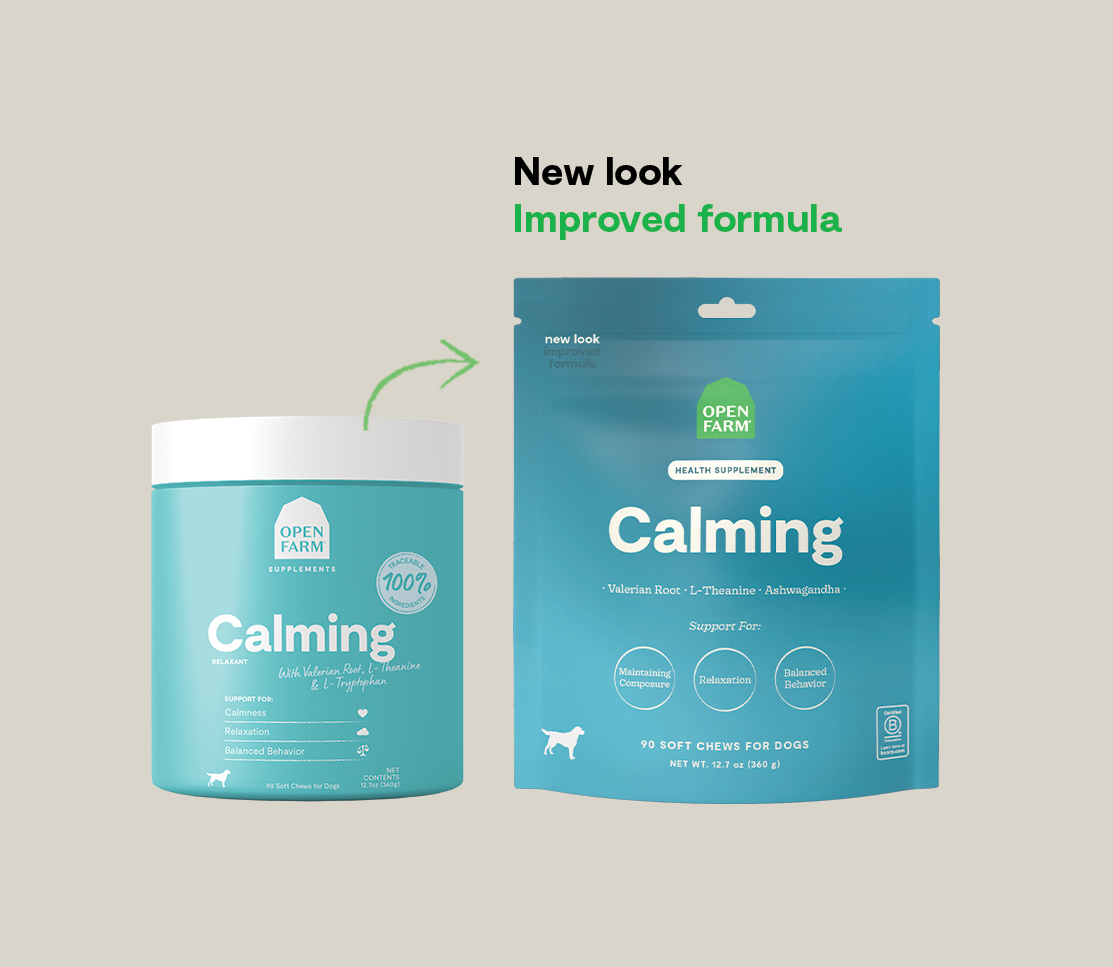 Calming Supplement Chews for Dogs