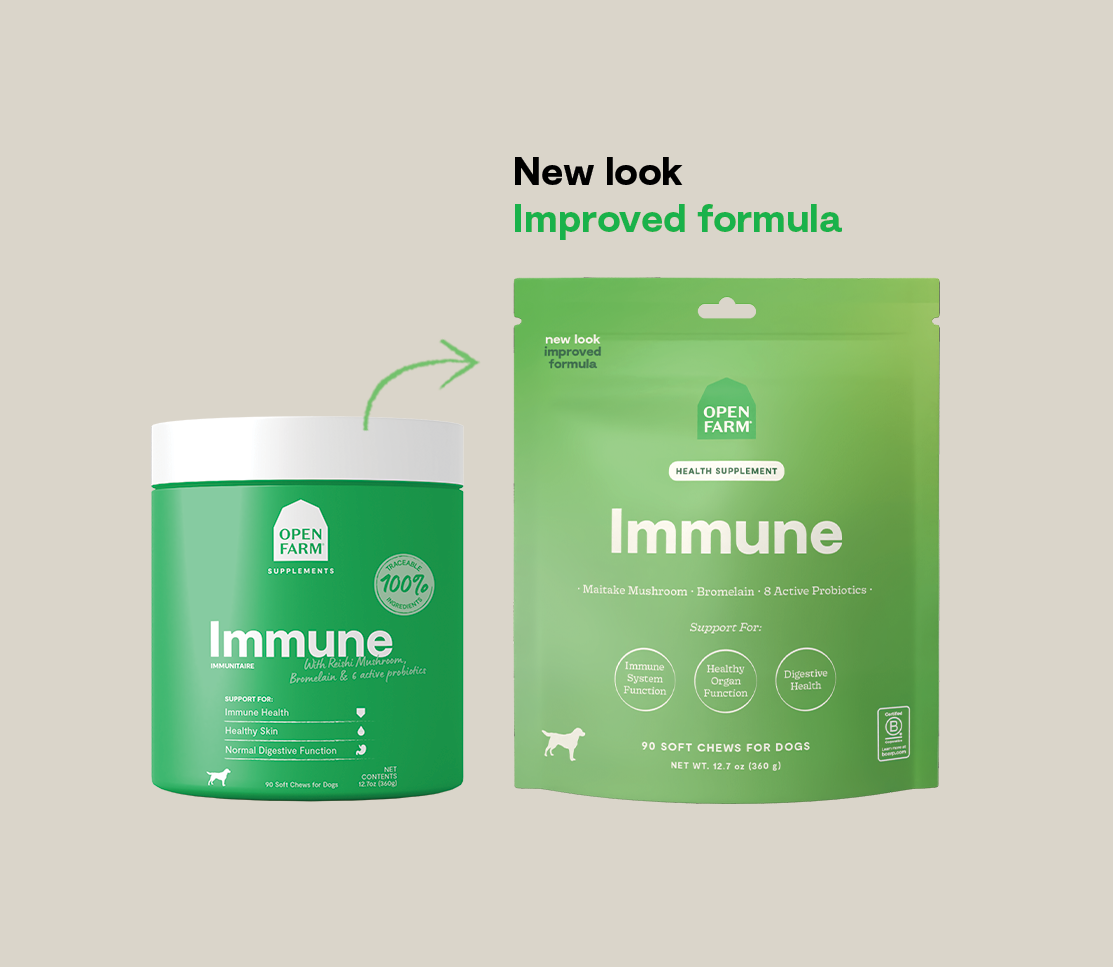 Immune Supplement Chews for Dogs